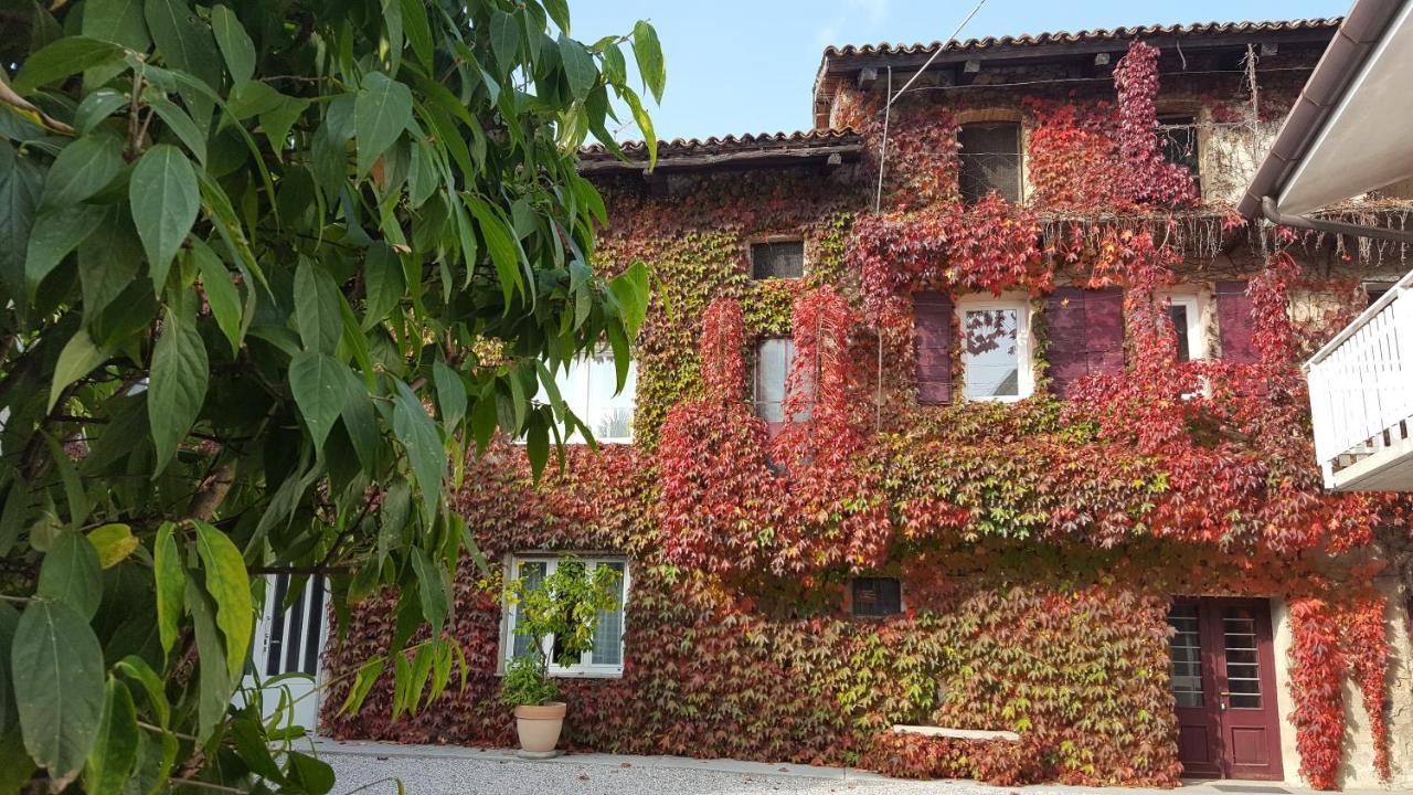 Altebas Panzió Nogaredo di Prato Kültér fotó